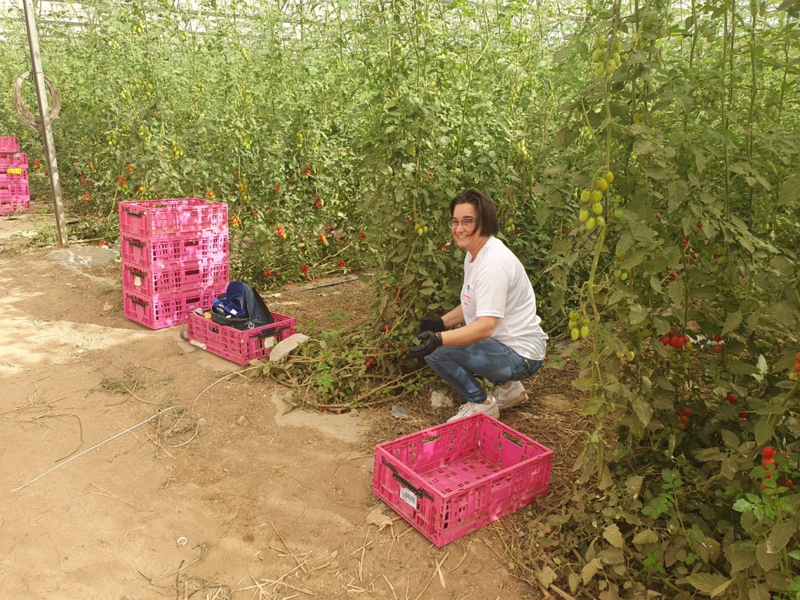 במרחב ירושלים יזמו סיוע לחקלאים