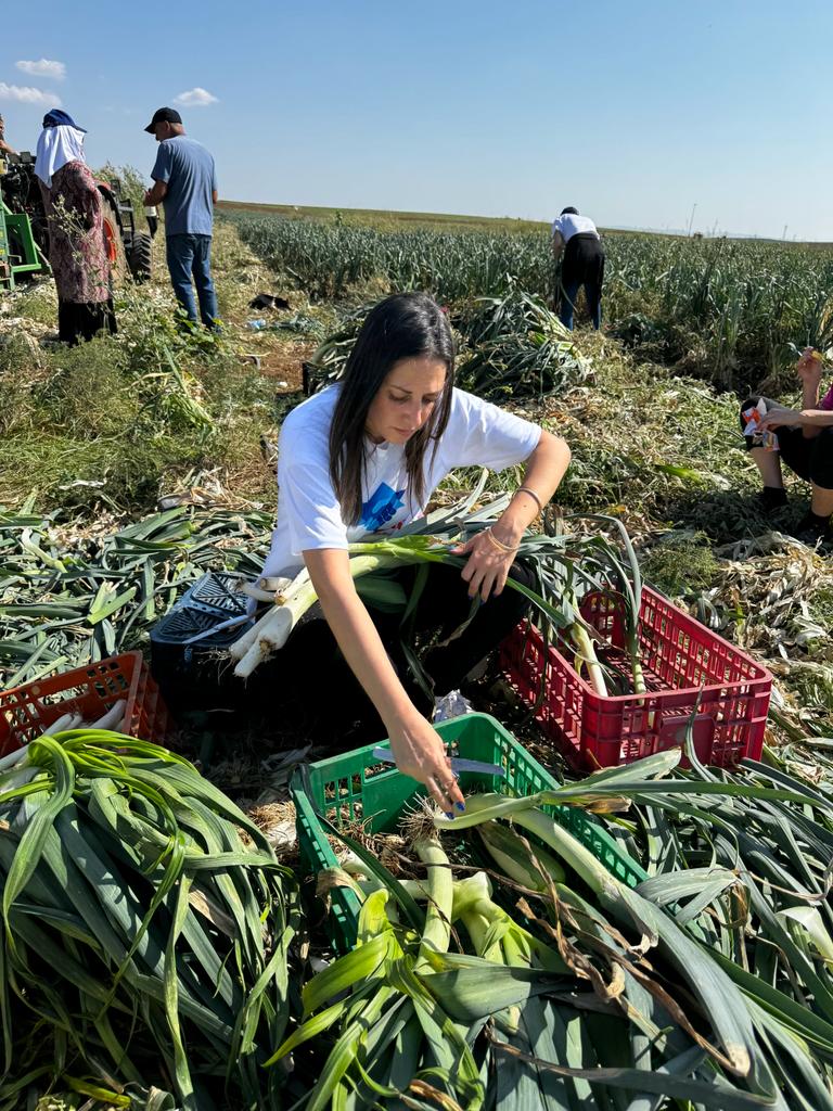 במרחב ירושלים יזמו סיוע לחקלאים