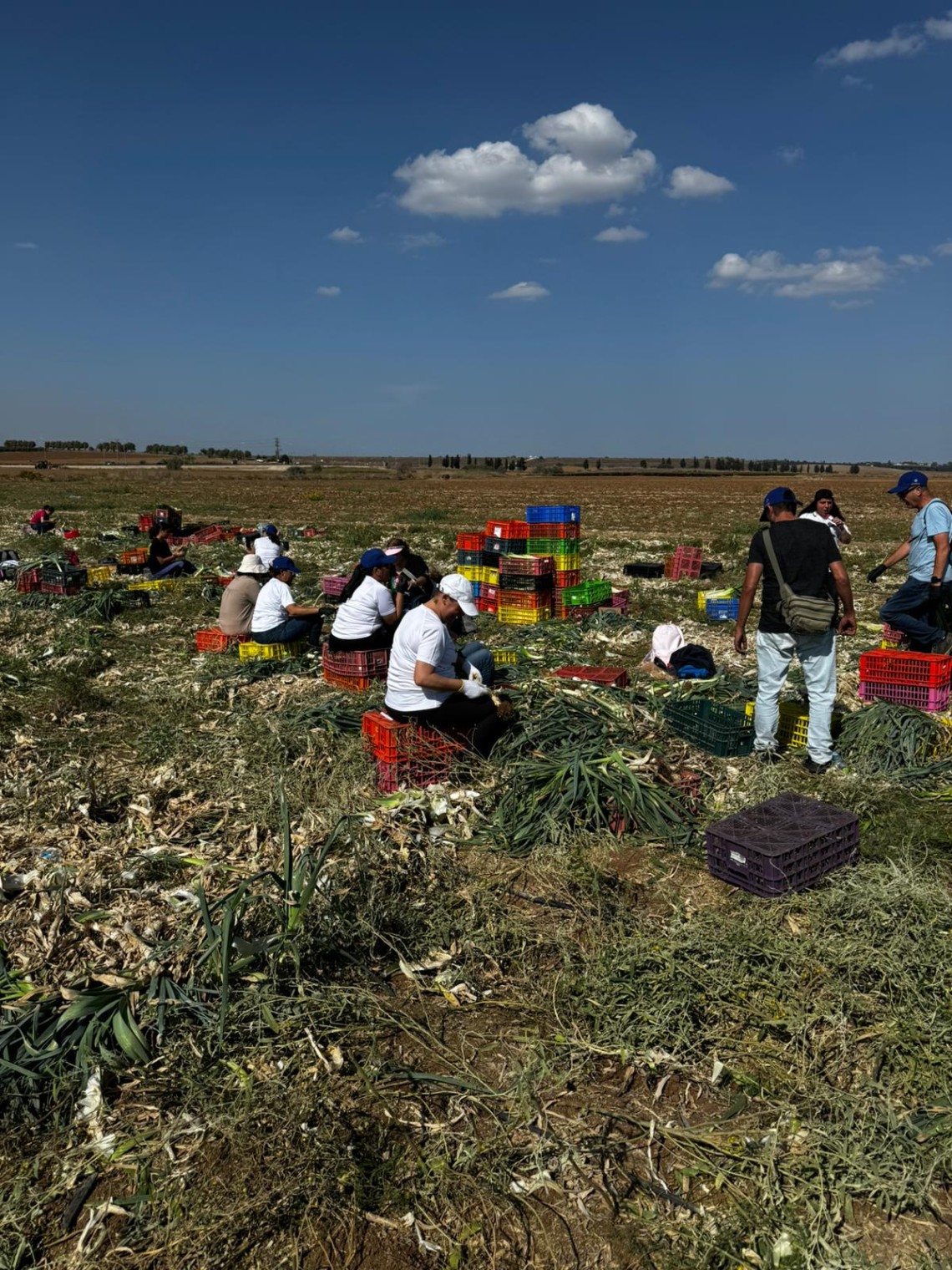 במרחב ירושלים יזמו סיוע לחקלאים