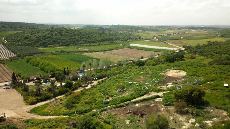 מי קדם - פארק אלונה. קרדיט תמונה: מועצה אזורית אלונה - מי קדם פארק אלונה